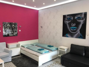 Гостиница Diana’s Charming Studio at the Buda Castle  Будапешт